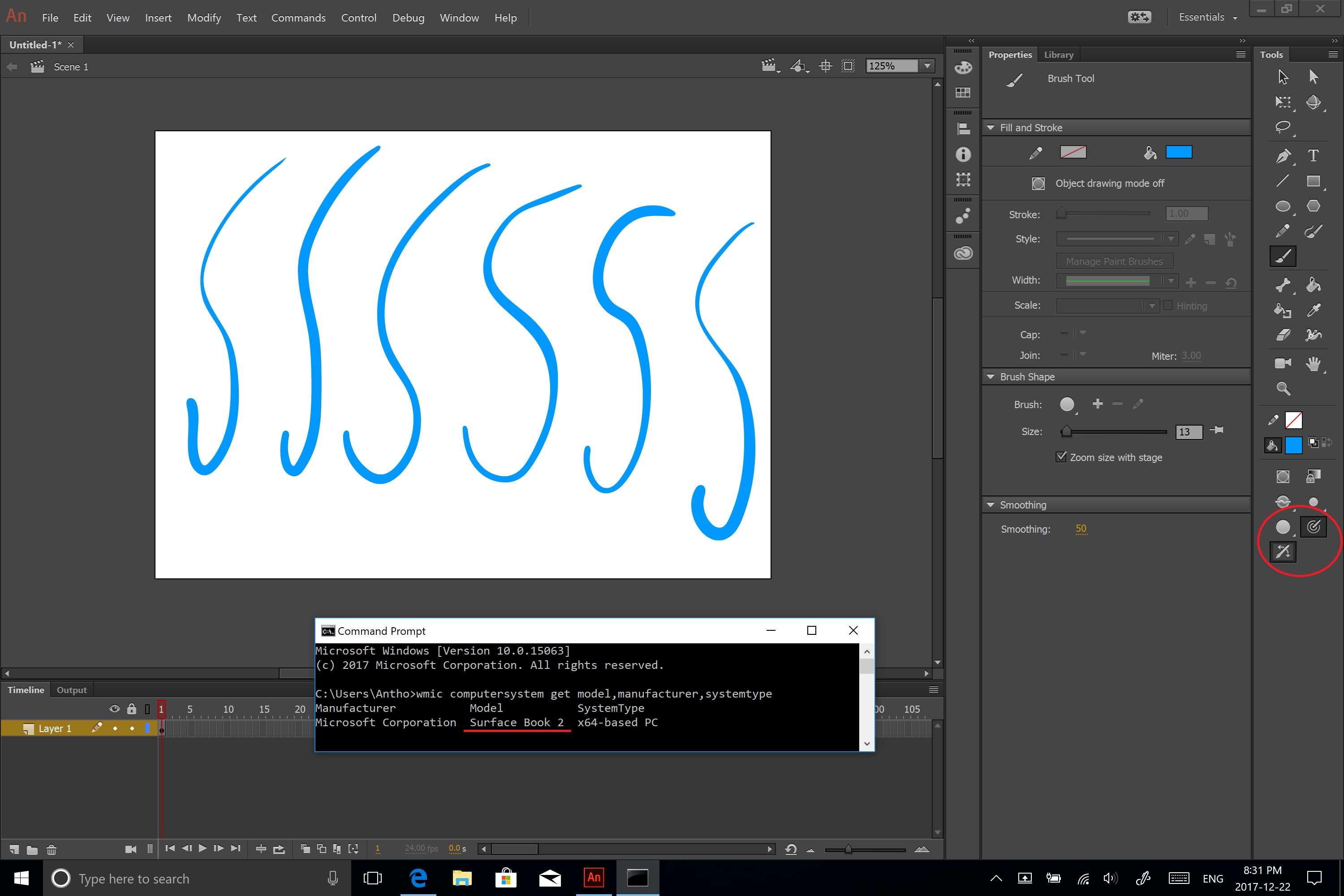 Surface Book 2 Adobe Animate Pen Pressure.jpg